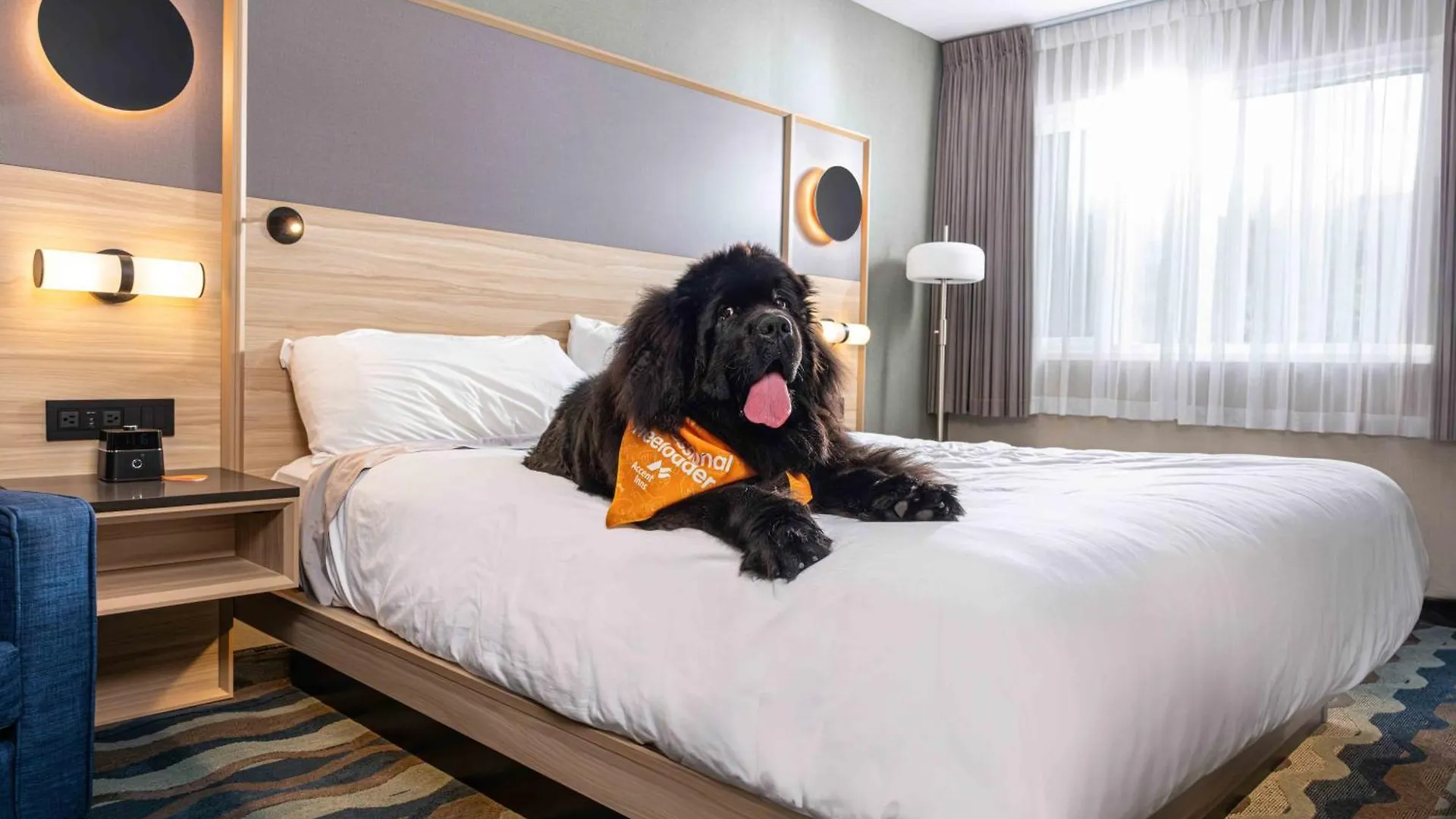 Hotel Accent Inns Vancouver Airport Richmond